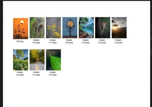 Passport Size Image PDF Maker For Multiple Images In Google Drive.