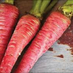 Carrots, Vitamin A, and the Wisdom of Gajar-ka-Halwa